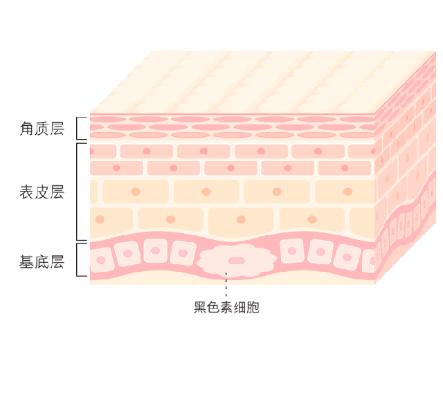 夏天要白三個(gè)度 就得用它！用它！用它！3.gif
